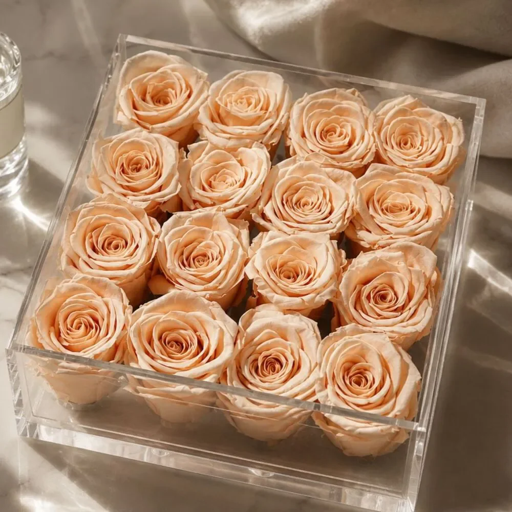 16 Preserved Blush Peach Roses in Clear Acrylic Box Luxury Floral Arrangement